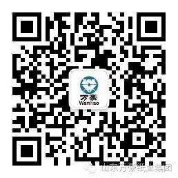 山東祺月集團(tuán)有限公司